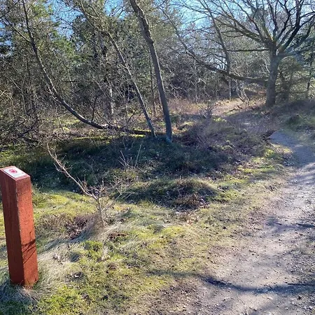 Marilisa - 700m To The Inlet In Western Jutland By Interhome Holiday home Ringkobing